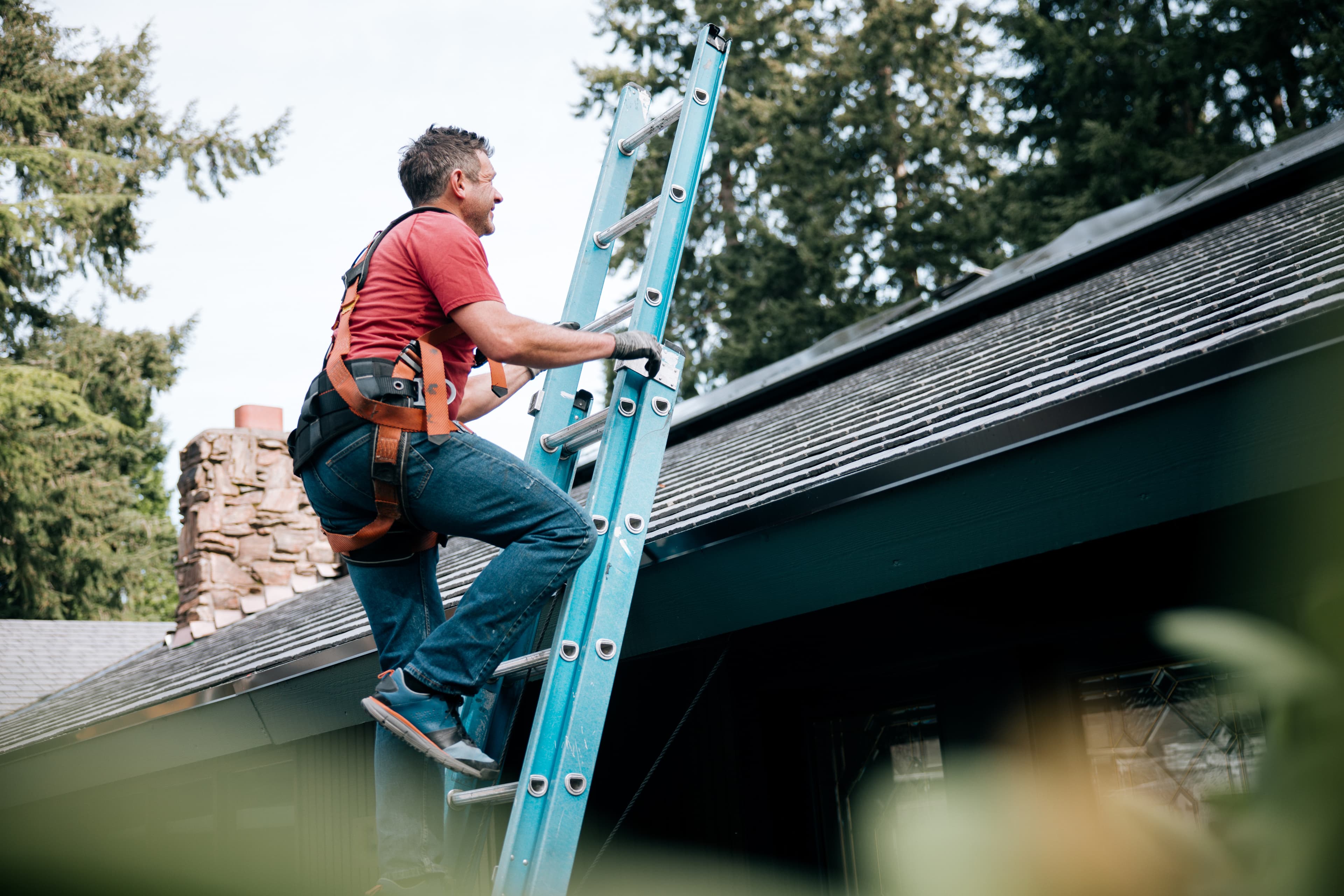 Werknemer